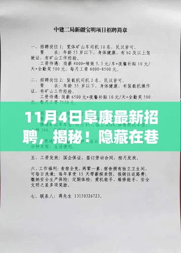 阜康最新招聘探秘，巷陌深處的特色小店揭秘之旅