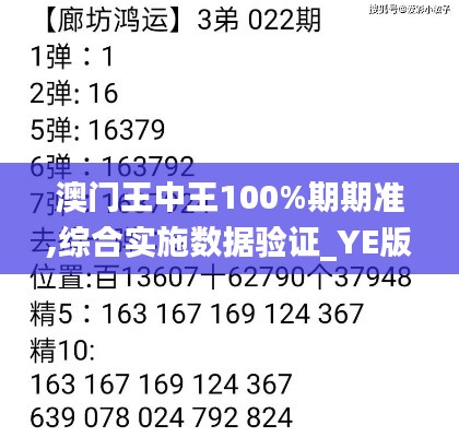 澳門王中王100%期期準,綜合實施數(shù)據(jù)驗證_YE版78.464