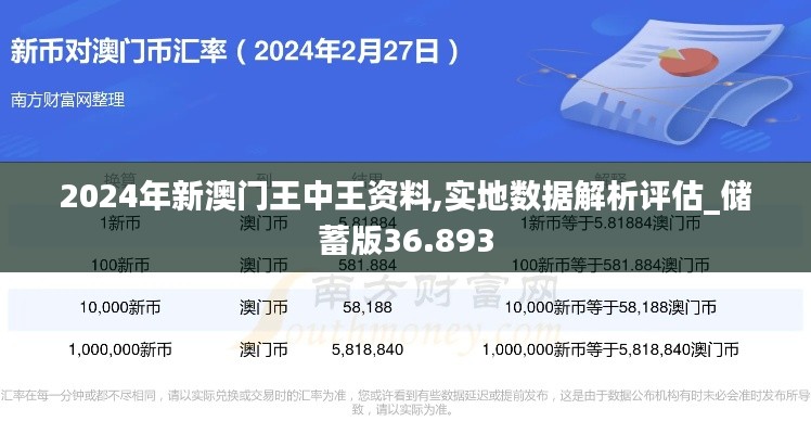 2024年新澳門王中王資料,實地數(shù)據(jù)解析評估_儲蓄版36.893