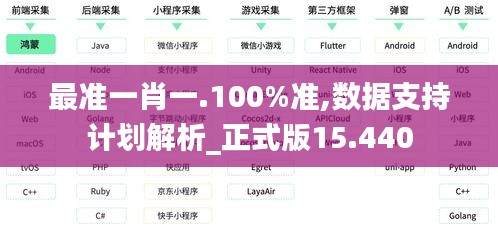 最準一肖一.100%準,數(shù)據(jù)支持計劃解析_正式版15.440