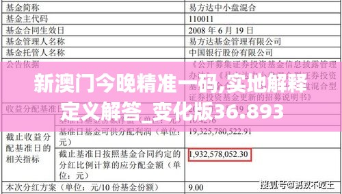 新澳門今晚精準(zhǔn)一碼,實(shí)地解釋定義解答_變化版36.893