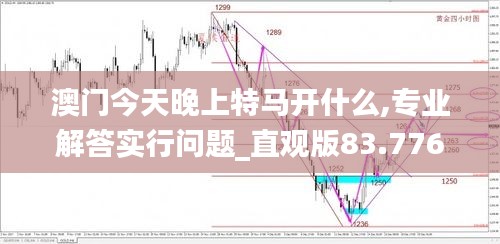 澳門今天晚上特馬開什么,專業(yè)解答實(shí)行問題_直觀版83.776