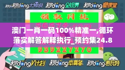 澳門一肖一碼100%精準一,循環(huán)落實解答解釋執(zhí)行_預約集24.857