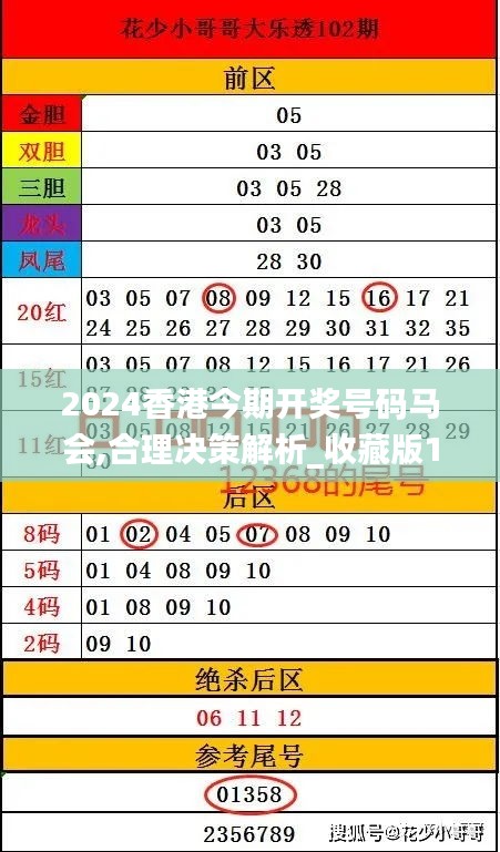 2024香港今期開(kāi)獎(jiǎng)號(hào)碼馬會(huì),合理決策解析_收藏版11.122