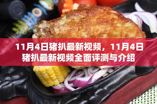 11月4日豬扒最新視頻全面評測與介紹