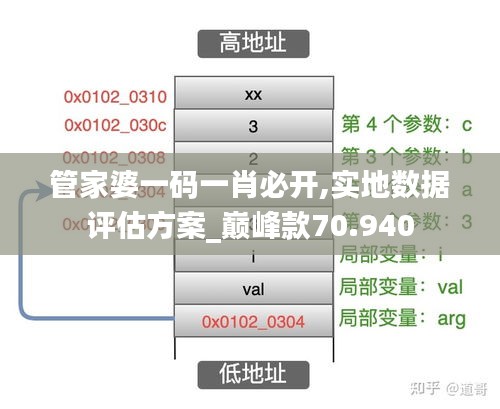 管家婆一碼一肖必開,實地數據評估方案_巔峰款70.940