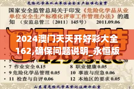 2024澳門天天開好彩大全162,確保問題說明_永恒版98.73