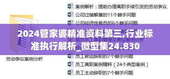 2024管家婆精準資料第三,行業(yè)標準執(zhí)行解析_微型集24.830