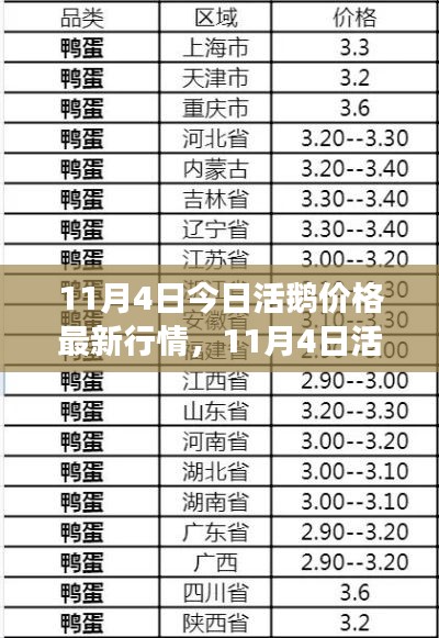 11月4日活鵝價格最新行情，變化中的學(xué)習(xí)助力自信與力量