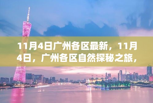 廣州各區(qū)自然探秘之旅，尋找內(nèi)心的寧靜與平和（11月4日最新資訊）