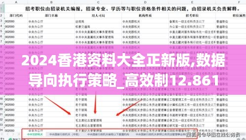 2024香港資料大全正新版,數(shù)據(jù)導(dǎo)向執(zhí)行策略_高效制12.861