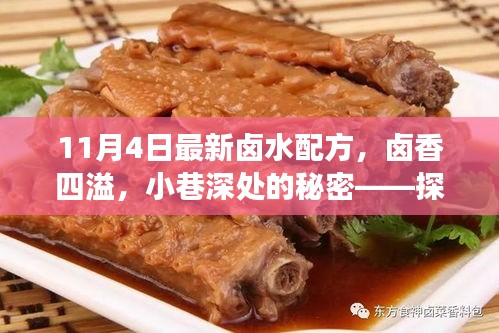 探索鹵水新配方，鹵香四溢的獨(dú)特美食之旅（11月4日最新配方揭秘）