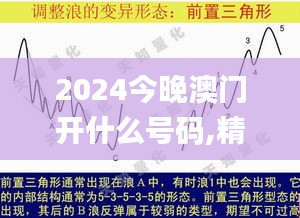 2024今晚澳門開什么號碼,精確研究解答解釋現(xiàn)象_試探型35.432