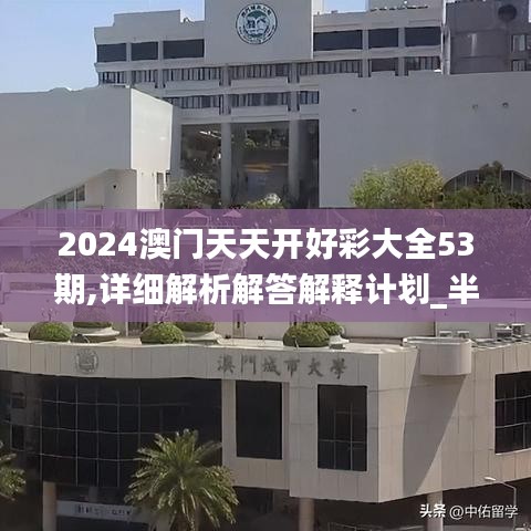 2024澳門天天開好彩大全53期,詳細解析解答解釋計劃_半成集98.925