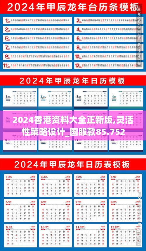 2024香港資料大全正新版,靈活性策略設(shè)計(jì)_國服款85.752