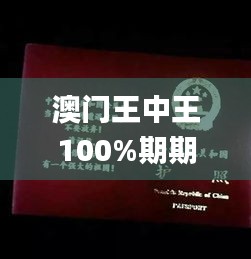 澳門王中王100%期期中,系統(tǒng)解析解答解釋現(xiàn)象_場(chǎng)地集54.333