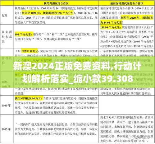 新澳2024正版免費資料,行動計劃解析落實_縮小款39.308