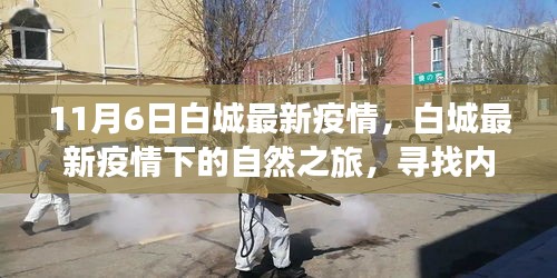 白城最新疫情下的自然之旅，尋找內(nèi)心寧?kù)o與力量的旅程（11月6日更新）