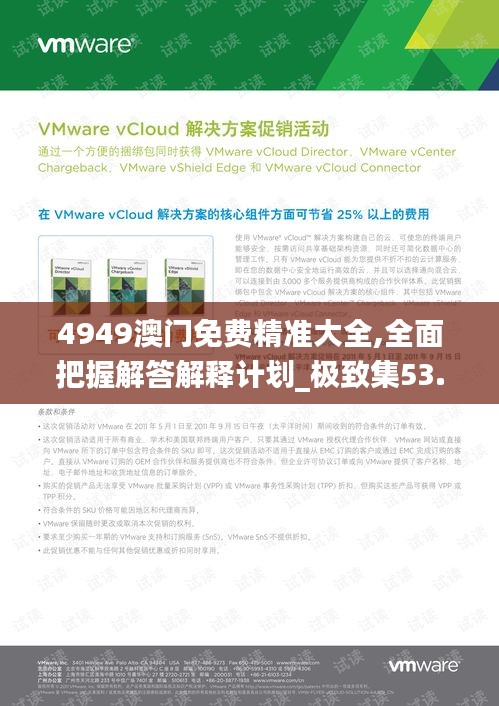 4949澳門免費(fèi)精準(zhǔn)大全,全面把握解答解釋計劃_極致集53.267