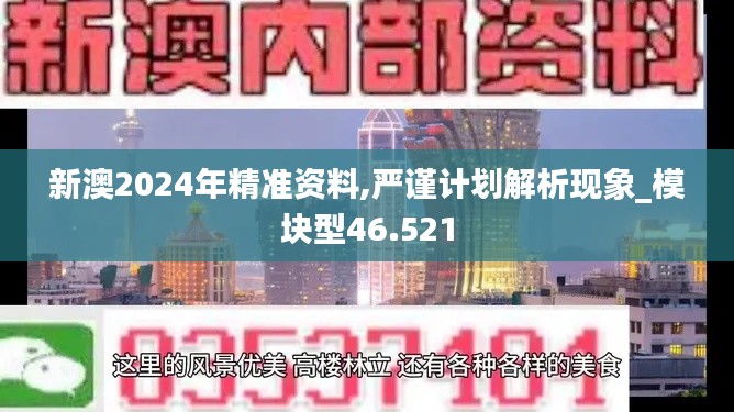 新澳2024年精準(zhǔn)資料,嚴(yán)謹(jǐn)計(jì)劃解析現(xiàn)象_模塊型46.521