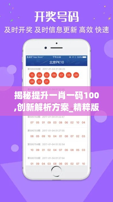 揭秘提升一肖一碼100,創(chuàng)新解析方案_精粹版96.416