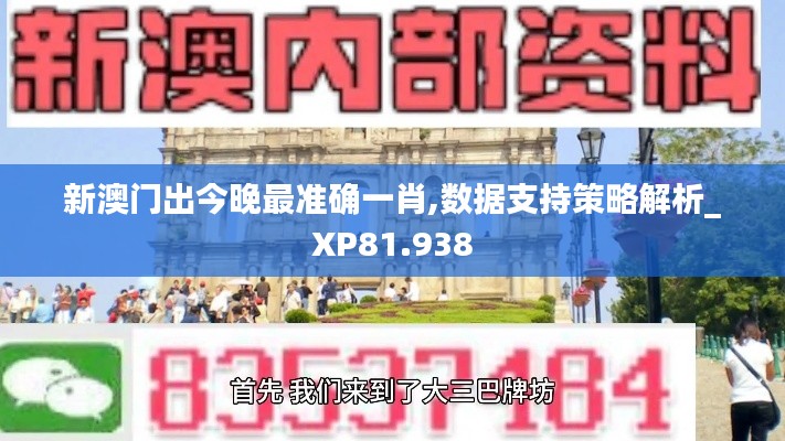 新澳門出今晚最準確一肖,數(shù)據(jù)支持策略解析_XP81.938