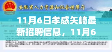 11月6日孝感矢崎最新招聘信息及其多維度解讀