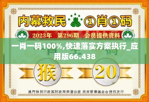 一肖一碼100%,快速落實(shí)方案執(zhí)行_應(yīng)用版66.438