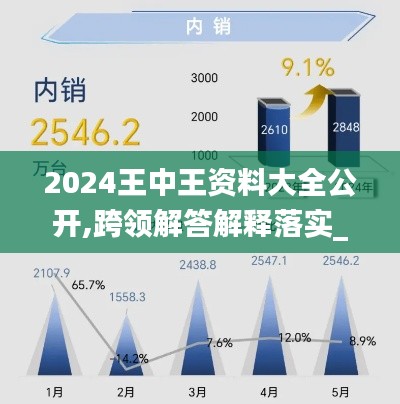 2024王中王資料大全公開,跨領(lǐng)解答解釋落實_示例版44.410