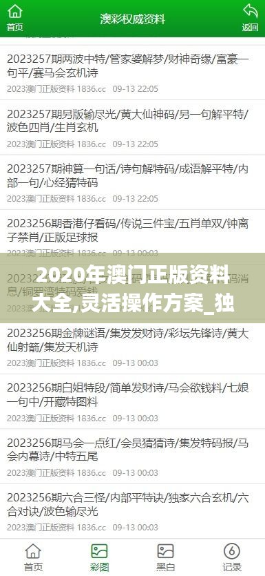 2020年澳門正版資料大全,靈活操作方案_獨用版37.523