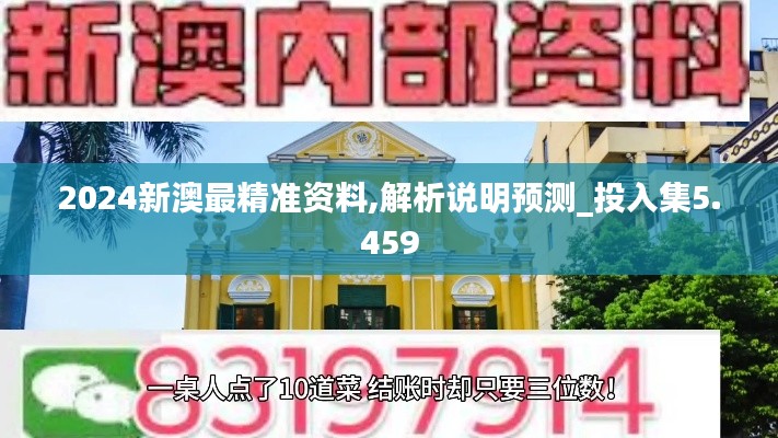 2024新澳最精準(zhǔn)資料,解析說明預(yù)測_投入集5.459