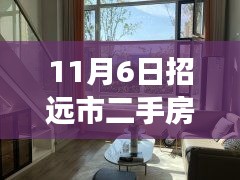 招遠市二手房市場深度解析，最新動態(tài)與全面評測（11月6日）