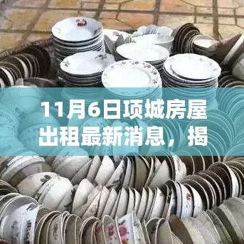 項(xiàng)城房屋出租最新動(dòng)態(tài)，揭秘小巷深處的獨(dú)特小店與寶藏秘境