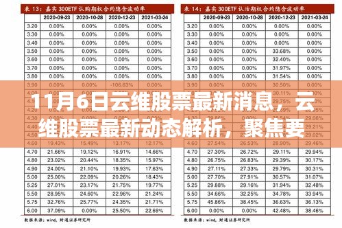 最新解析，云維股票動態(tài)聚焦要點深度剖析（11月6日更新）