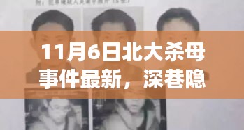 北大殺母事件最新進展，深巷隱秘中的探尋與背后故事揭秘