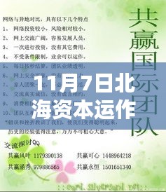 北海資本運作最新動態(tài)解析及最新消息（11月7日更新）