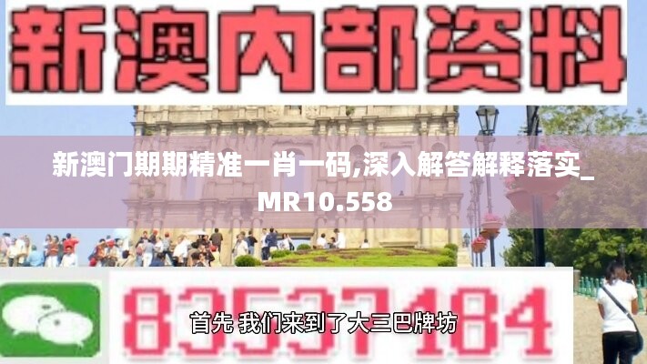 新澳門期期精準一肖一碼,深入解答解釋落實_MR10.558