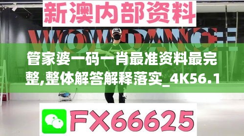 管家婆一碼一肖最準(zhǔn)資料最完整,整體解答解釋落實_4K56.131