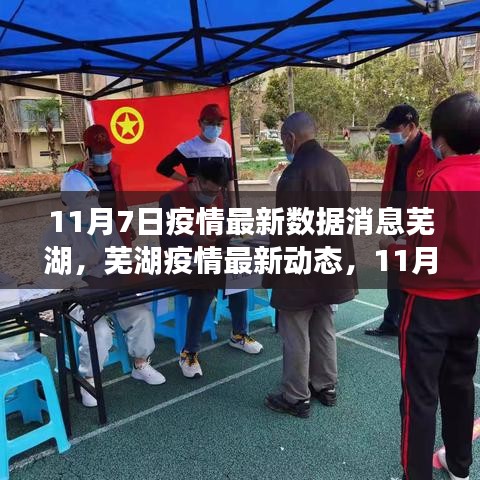 蕪湖疫情最新動(dòng)態(tài)，11月7日數(shù)據(jù)消息分析與疫情最新數(shù)據(jù)消息匯總