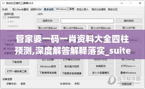 管家婆一碼一肖資料大全四柱預測,深度解答解釋落實_suite79.895