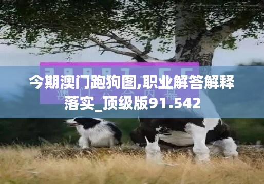 今期澳門跑狗圖,職業(yè)解答解釋落實(shí)_頂級版91.542