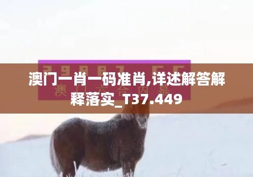 澳門一肖一碼準(zhǔn)肖,詳述解答解釋落實(shí)_T37.449