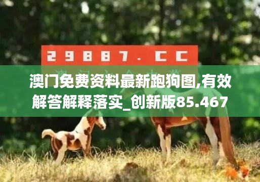 澳門免費資料最新跑狗圖,有效解答解釋落實_創(chuàng)新版85.467