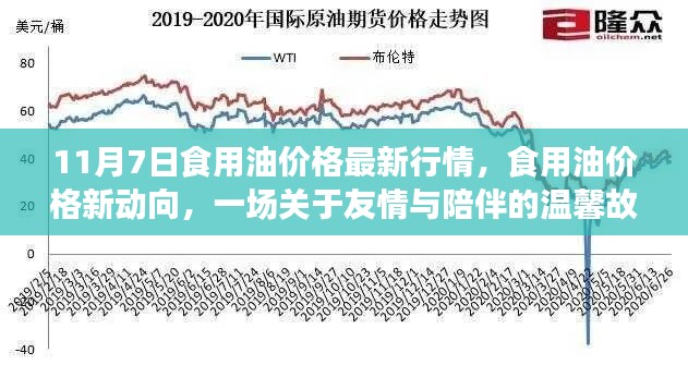 食用油價(jià)格最新動(dòng)態(tài)，友情與陪伴的溫馨故事在油價(jià)波動(dòng)中展開