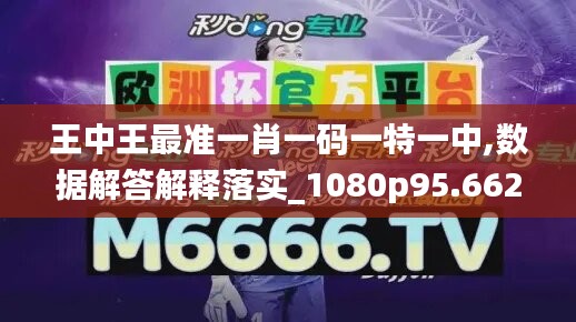 王中王最準(zhǔn)一肖一碼一特一中,數(shù)據(jù)解答解釋落實_1080p95.662