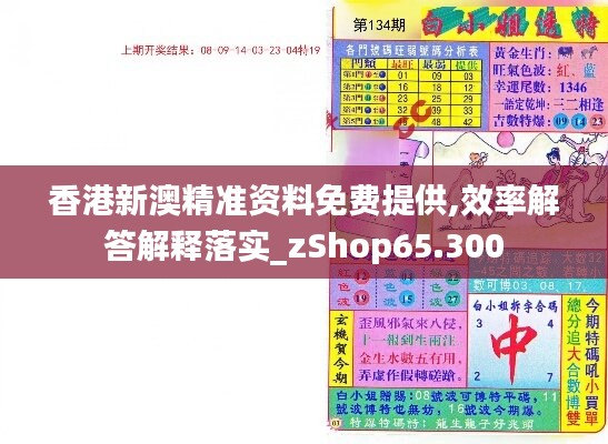 香港新澳精準(zhǔn)資料免費(fèi)提供,效率解答解釋落實_zShop65.300