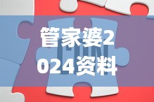 管家婆2024資料精準(zhǔn)大全,現(xiàn)狀解答解釋落實_Superior94.205