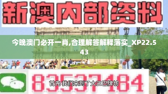 今晚澳門必開一肖,合理解答解釋落實(shí)_XP22.543