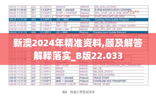 新澳2024年精準資料,顧及解答解釋落實_B版22.033