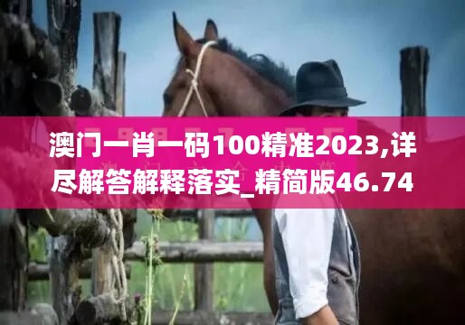 澳門一肖一碼100精準(zhǔn)2023,詳盡解答解釋落實(shí)_精簡版46.749